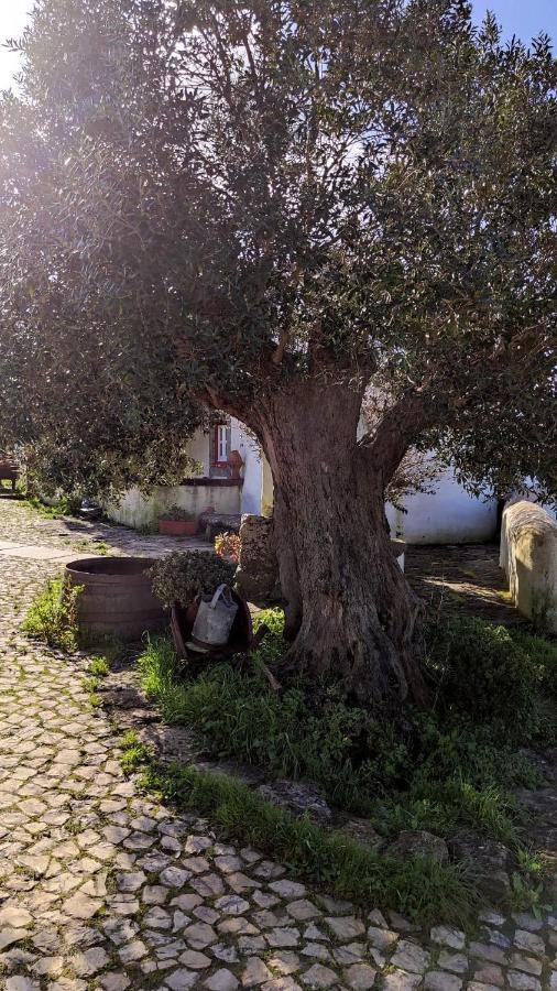 Ancos Little House -Sintra Countryside- Villa Montelavar Exterior foto